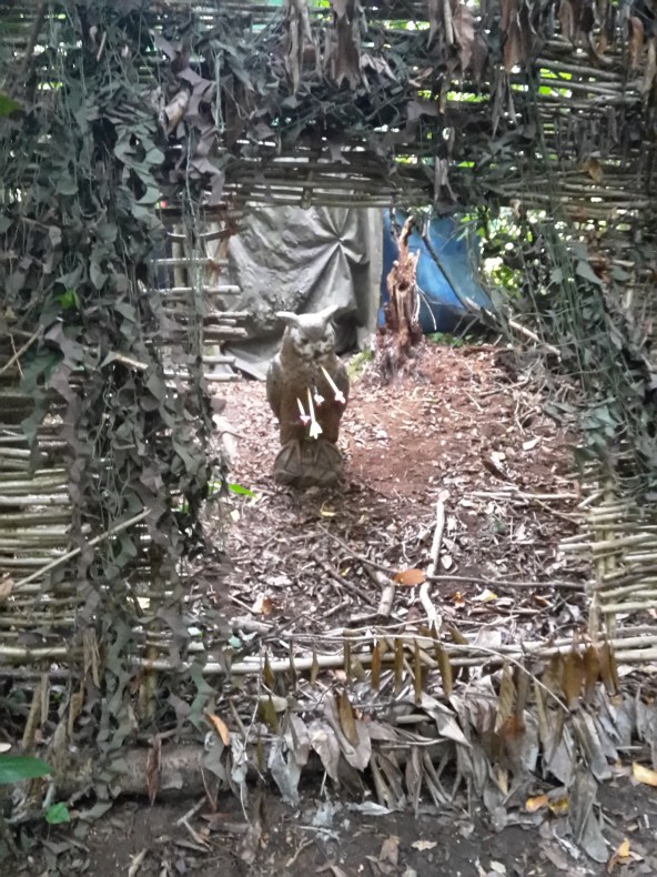 3D owl - nicely framed