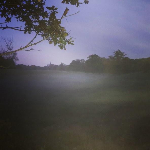 Mist appearing as dusk falls