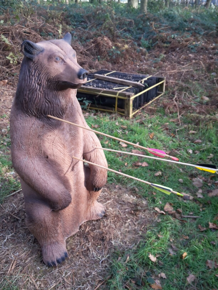 Nice 3D bear target I hadn't seen before