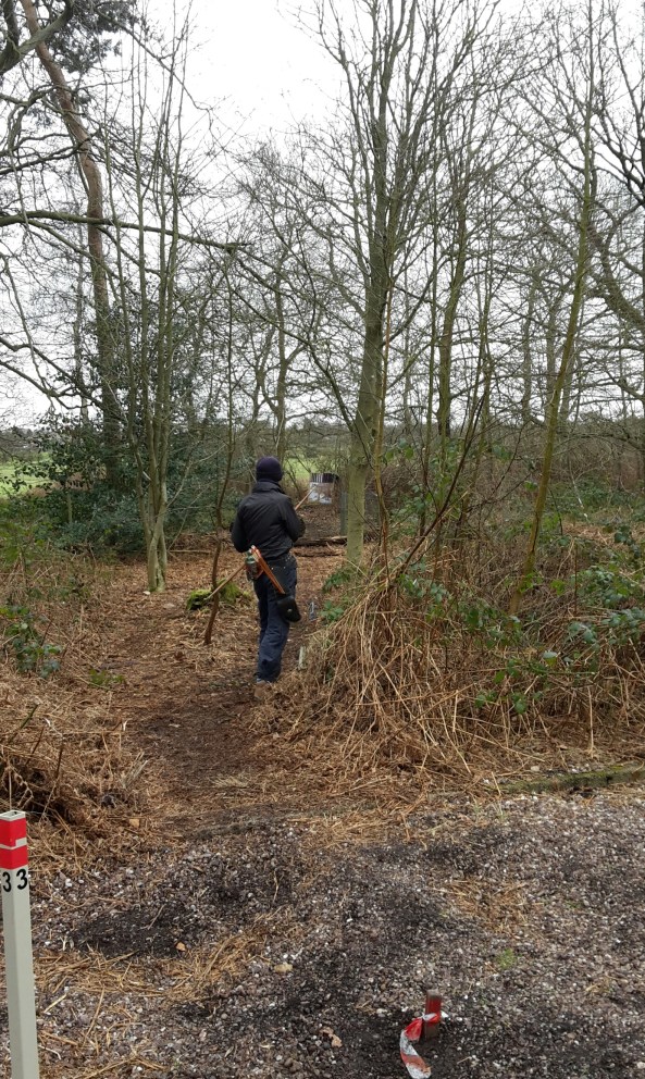 Viv shooting the timber wolf