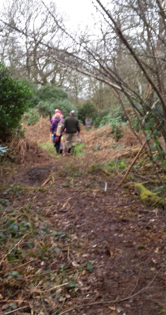 First target at Harlequin the long 2D Tiger