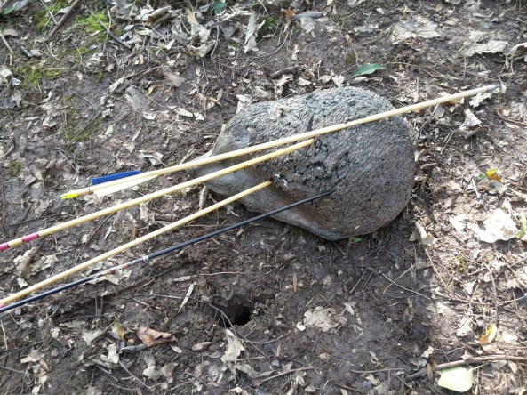 Luckiest shot of the day