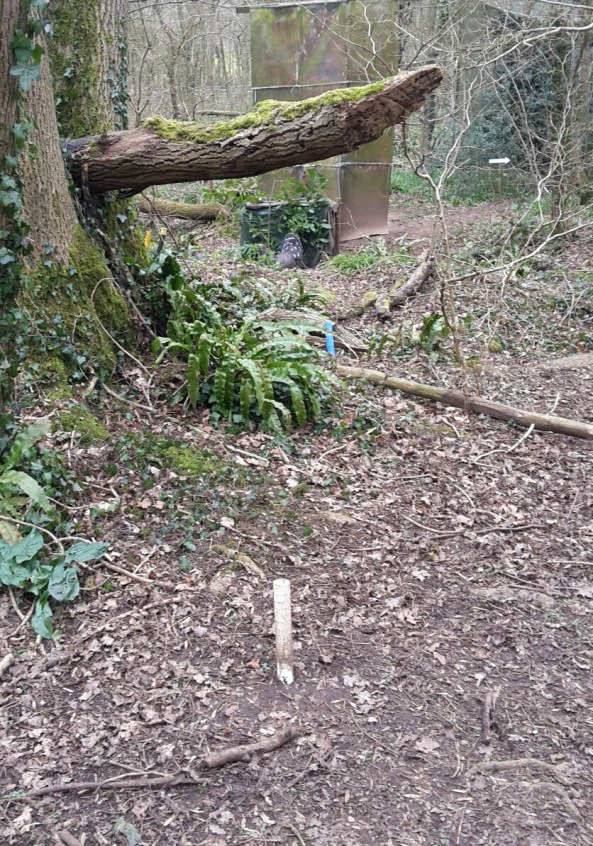 3D bird target just over the bank