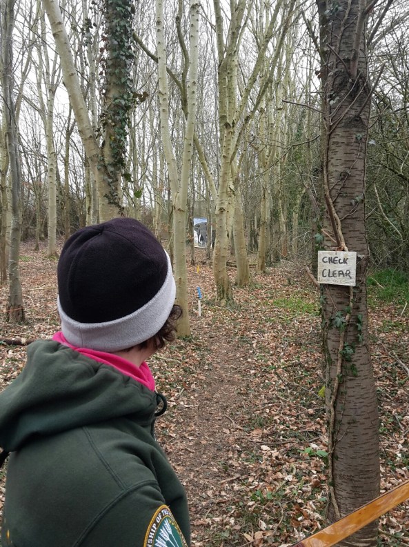 The elephant shot makes the return