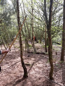 3D fox between the trees