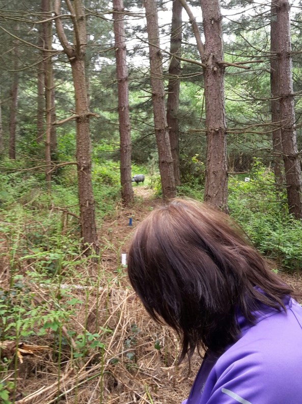 one of the longer shots on Y course