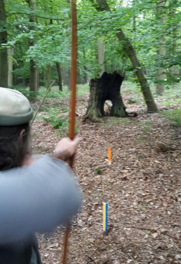 X course through the tree stub at a 3D frog