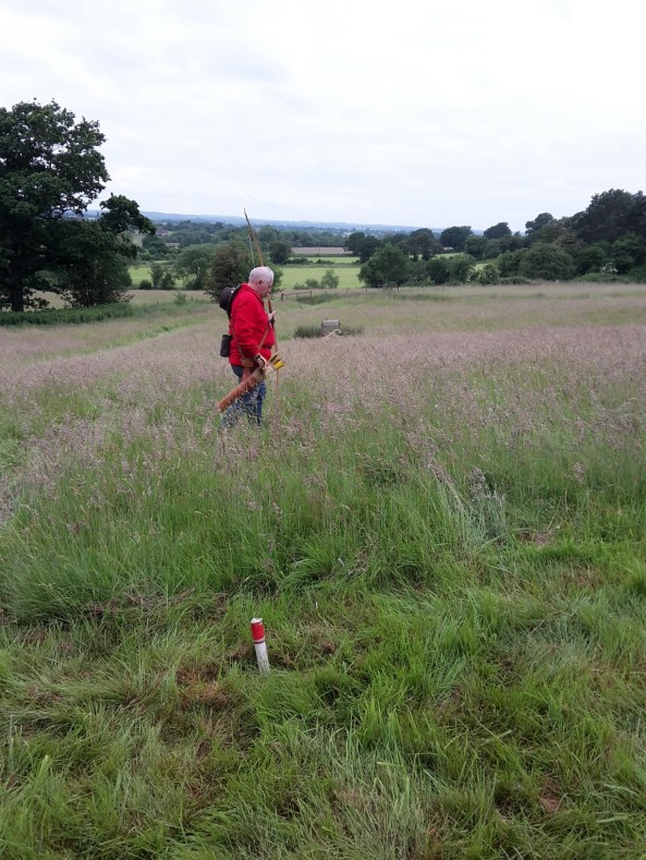 Second target on Saturday a 3d Lion in the field