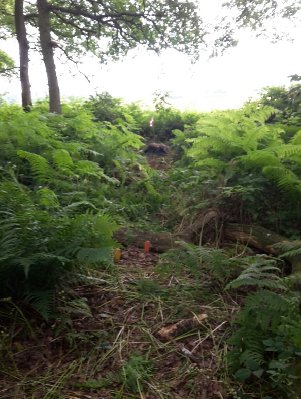 one of our first target