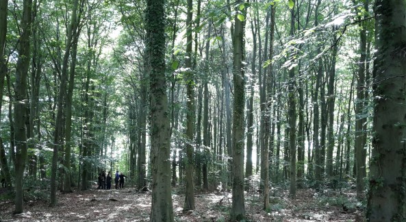 Sunday and dry weather