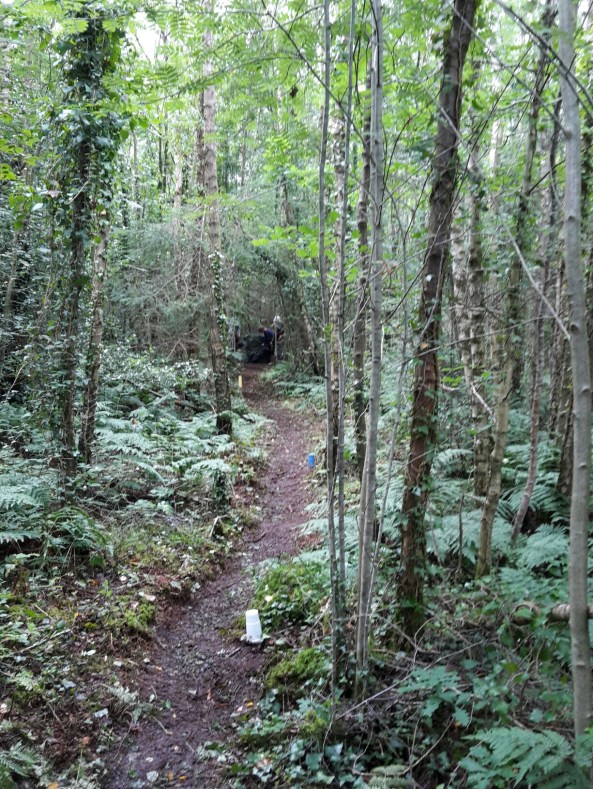 Group drawing arrows from a black 3D wolf on black background