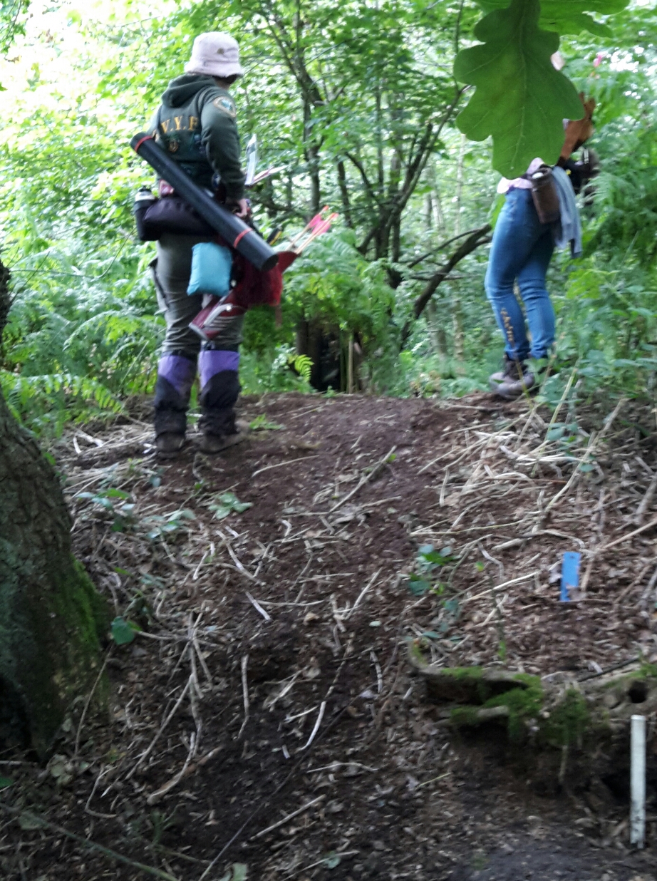 3D owl in the tree through the bracken