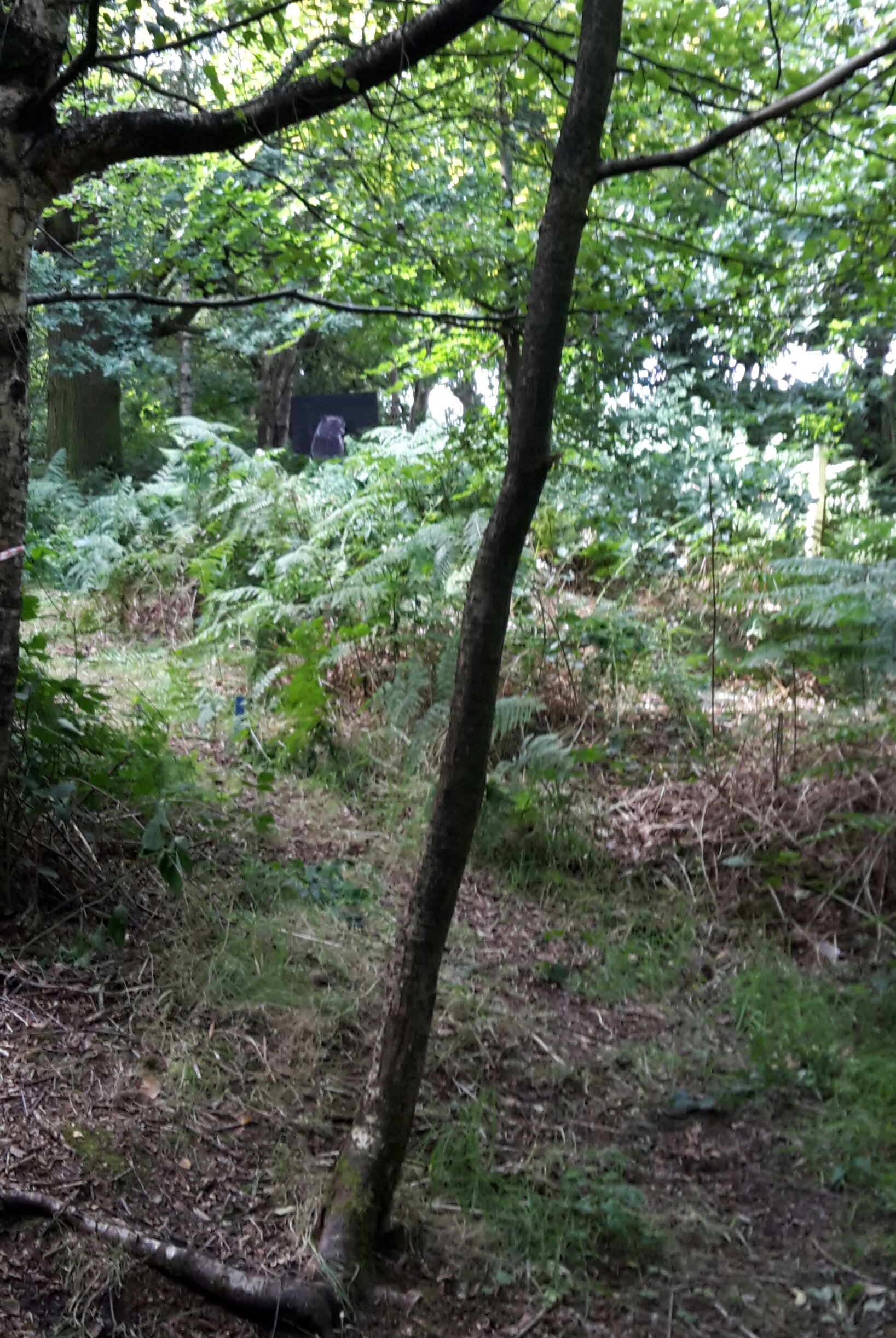 Clever use of foliage on 2D bear