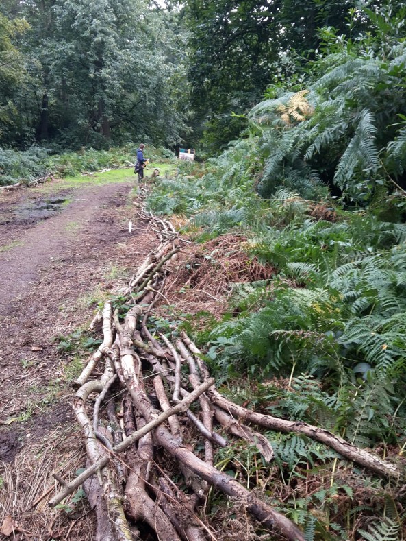 Long paper face Rhino target