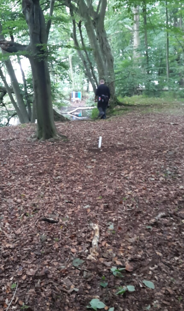 Starting target on Sunday - 3D bear across the pond