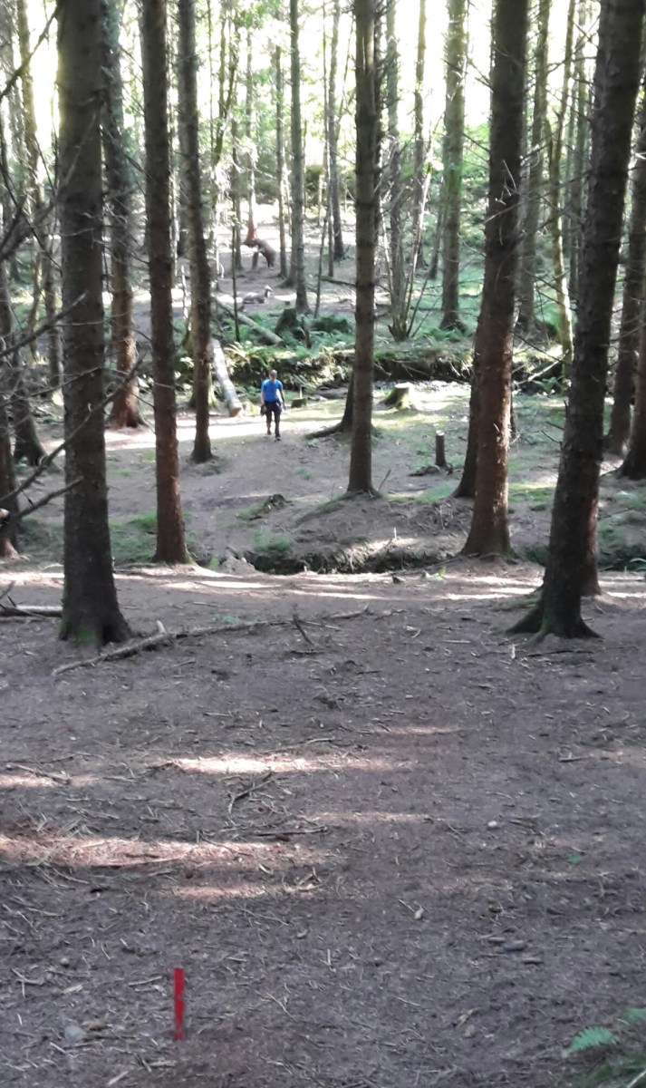 The 3D grizzly bear from red peg