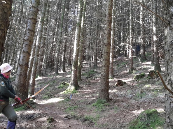 Target 1 second time round, Sharon shooting 3d