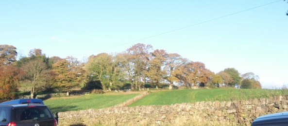 Pride Park - don't let the sun shine fool you, it was freezing cold