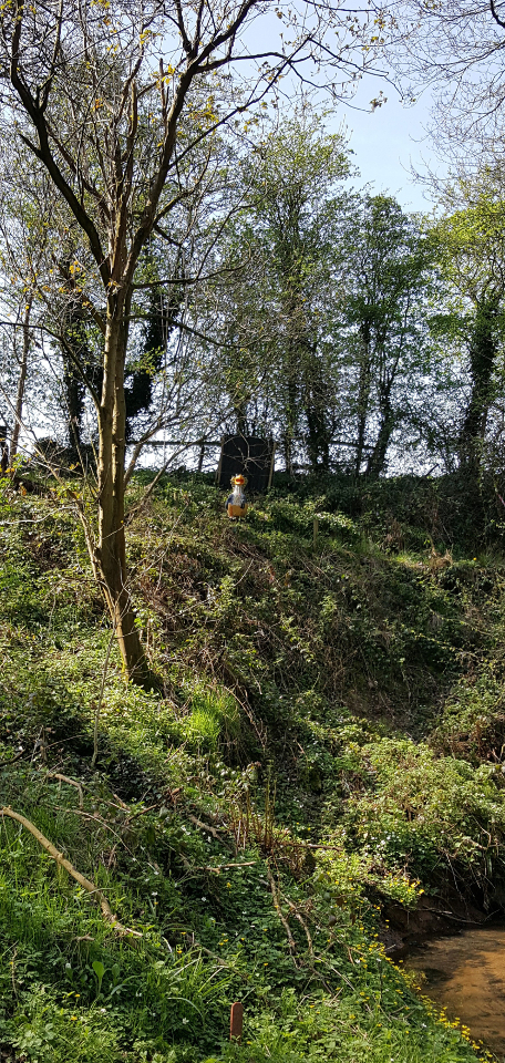 3D Dragon emerges from an egg