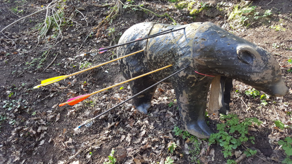 Great shot by Sharon