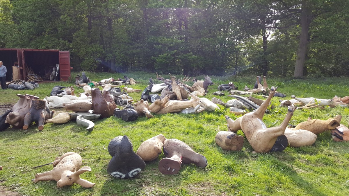 3Ds waiting to go out on course