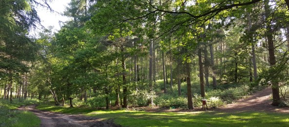 A course track leading up to targets 11 and beyond