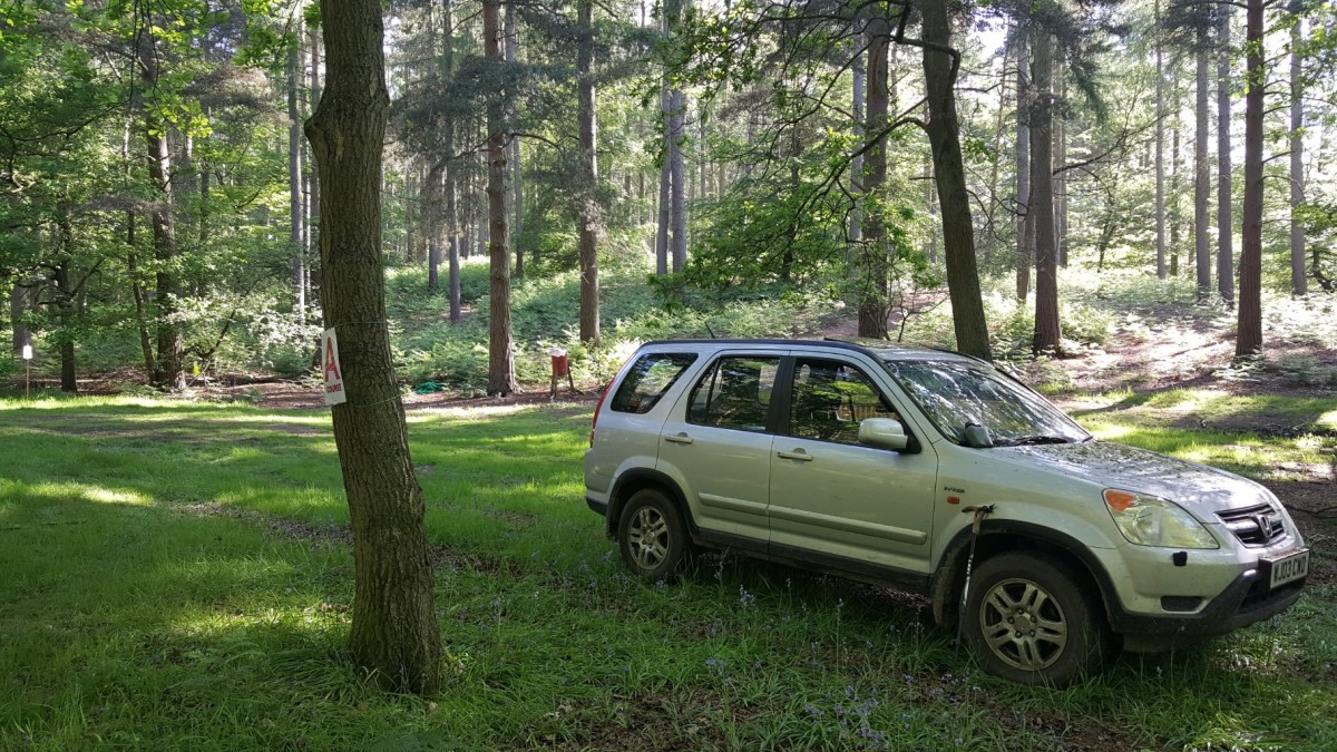 The work horse of the event taking a break