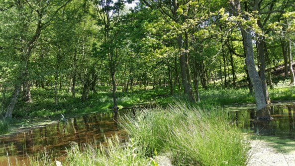 A course seen from the access path