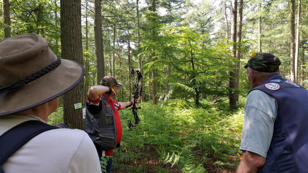 A course target 18 - deer under the tree canopy