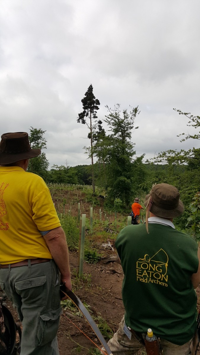 Target 33 on A course - standing 3D caribou