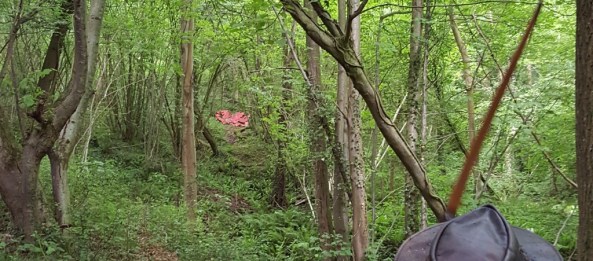 Me shooting the large 3D red dragon