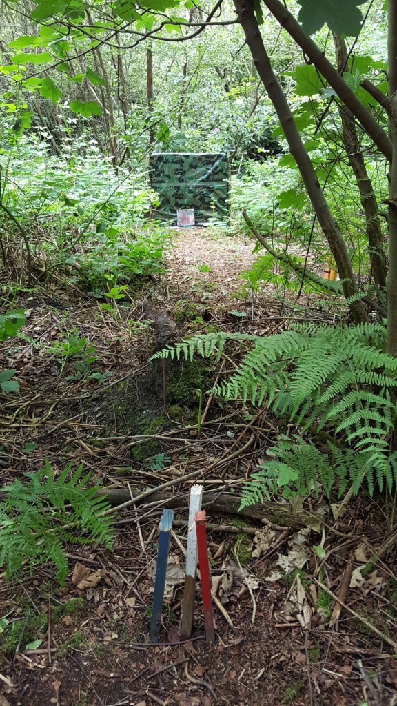 Paper face red squirrel