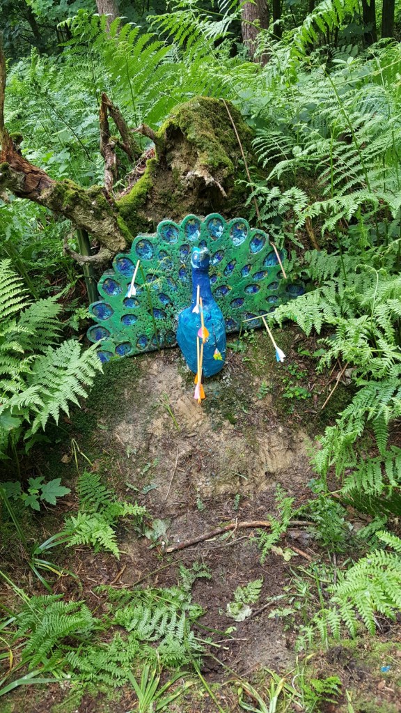 3D peacock - should have come with a warnings as paint was still wet
