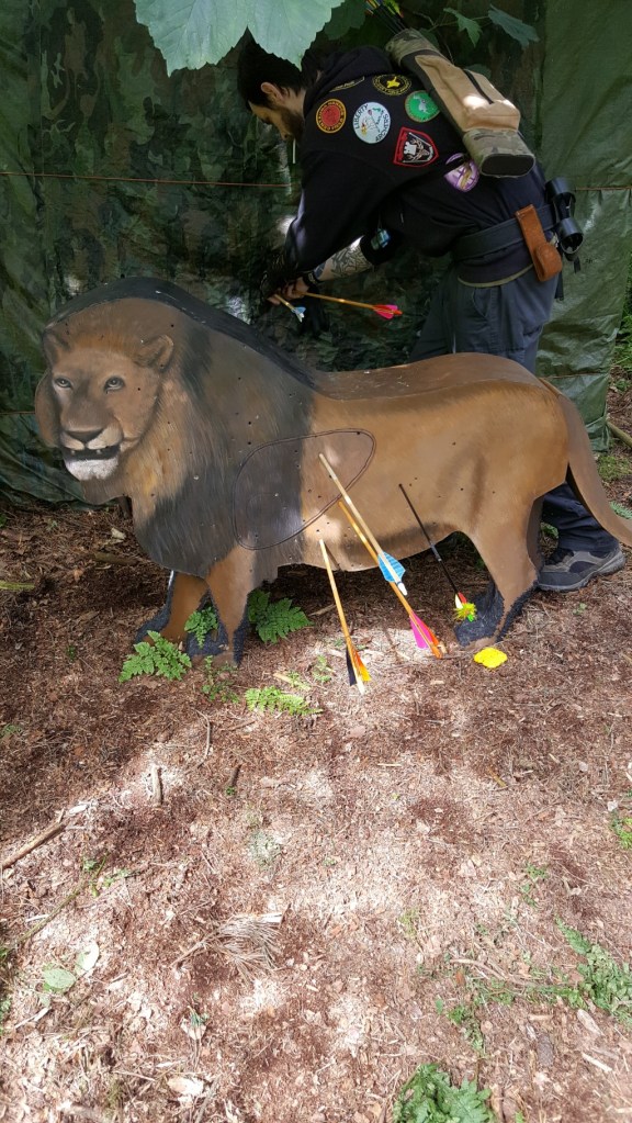 The not so large 2D lion