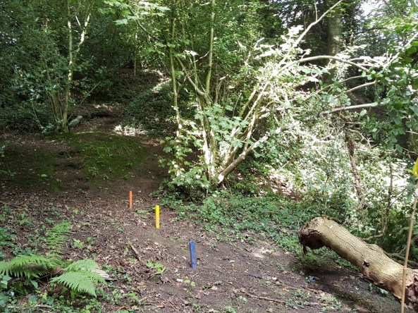 Tricky shot at 3D frog on bank