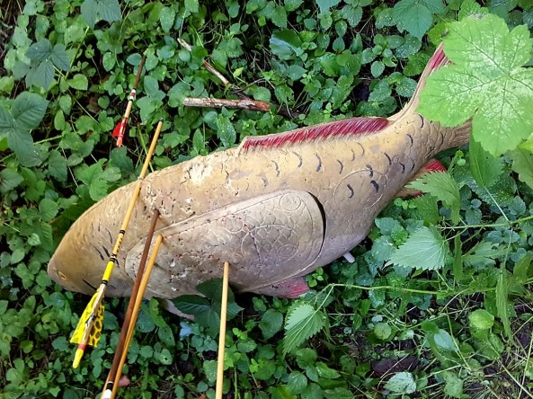 Cliffs very lucky shot at the 3D carp