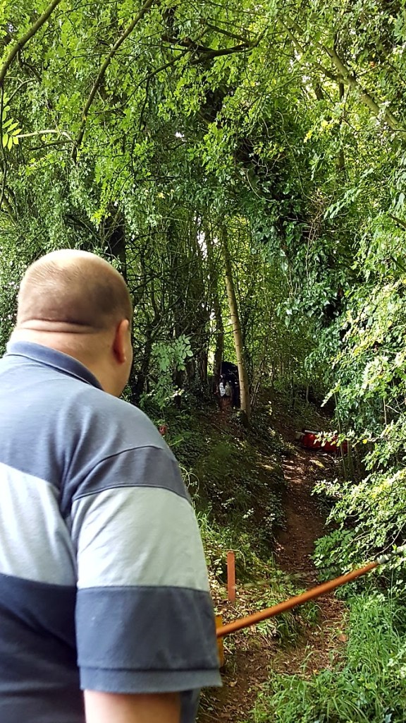 Cliff shooting 3D vulture