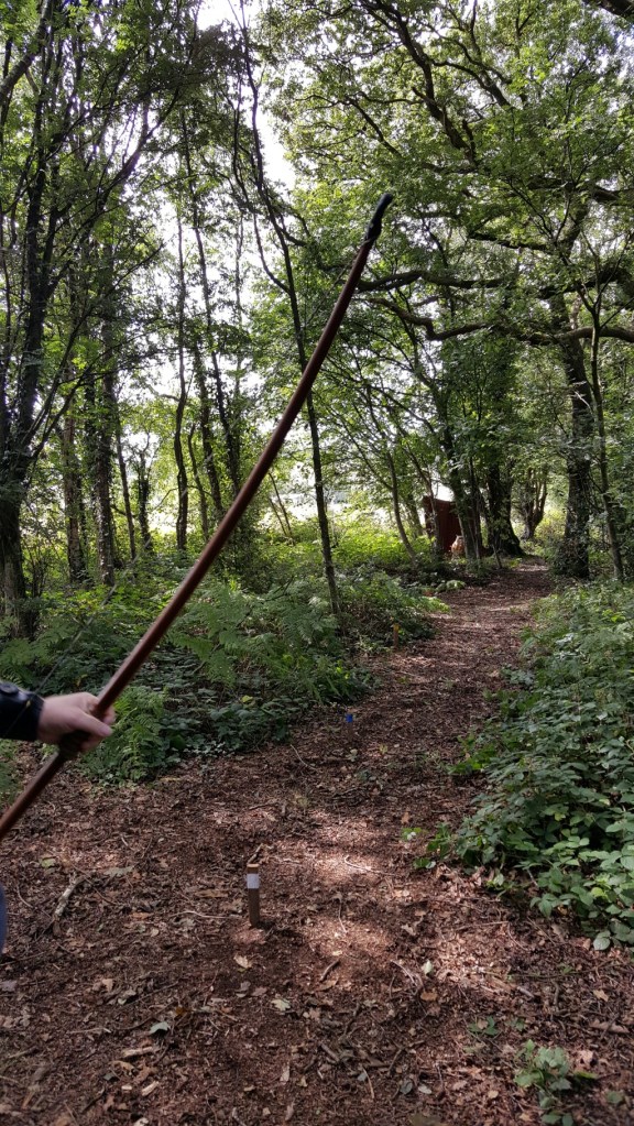 3D owl target between the trees