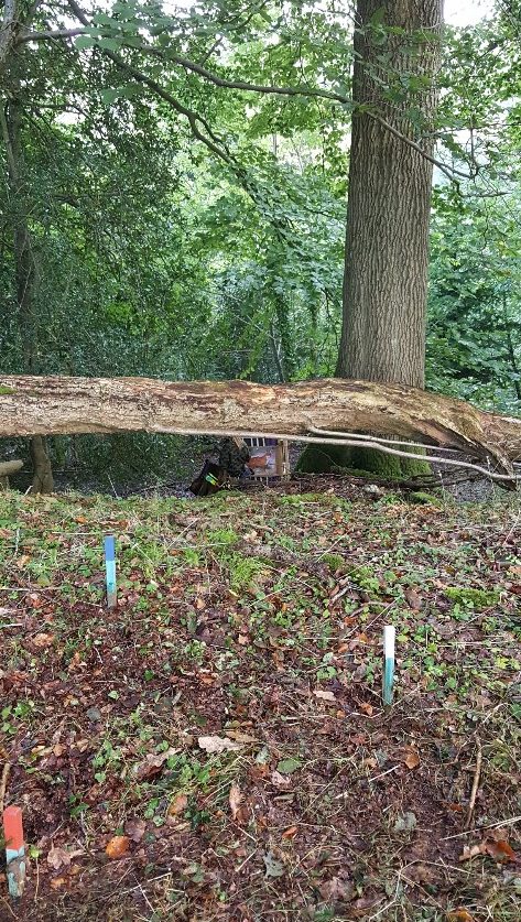 Paper face fox target on A course