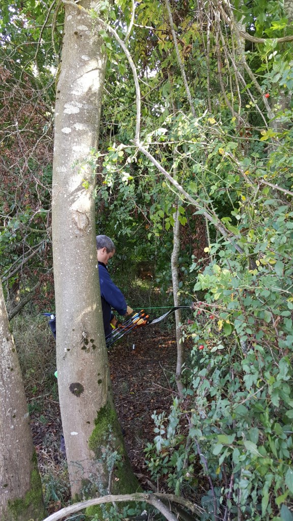 Anthony shooting 3d deer - very nicely framed shot.
