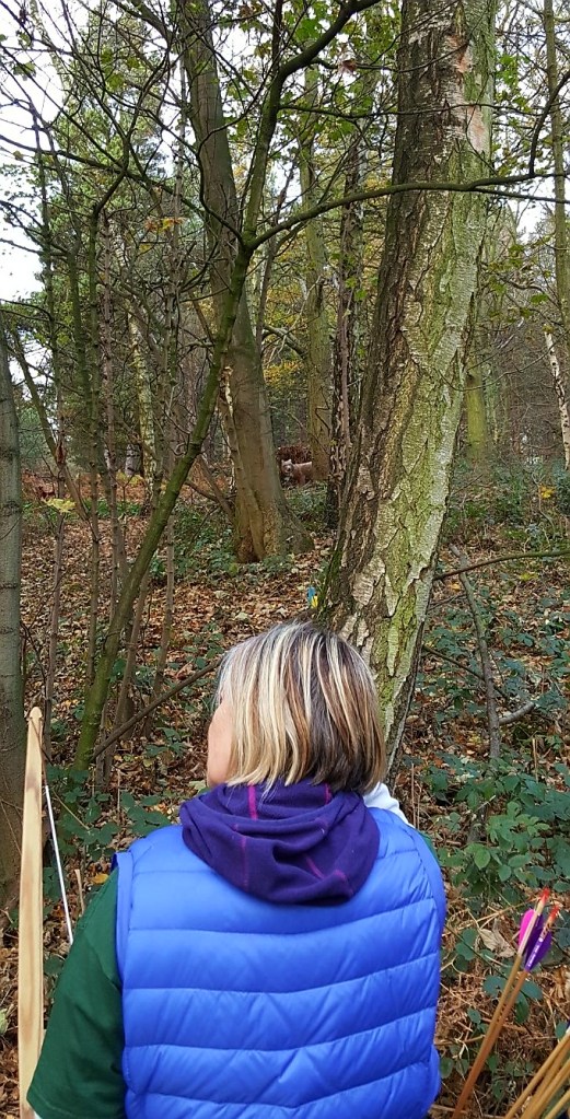 3D wolf target between the trees