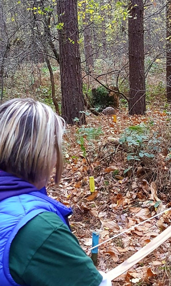 3D porcupine target in the leaves