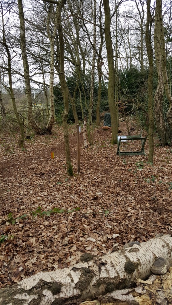 3d Armadillo at Paget de Vasey