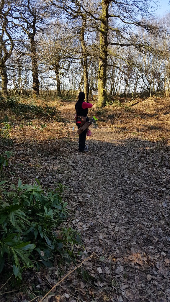 2D Tiger target between the trees