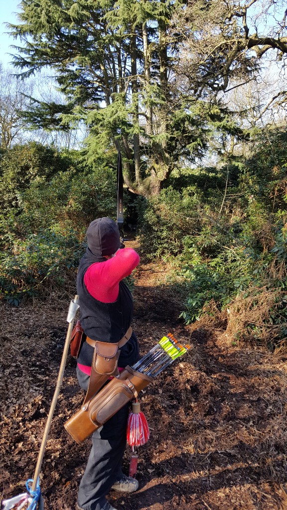 2D bobcat target in the cover of the tree