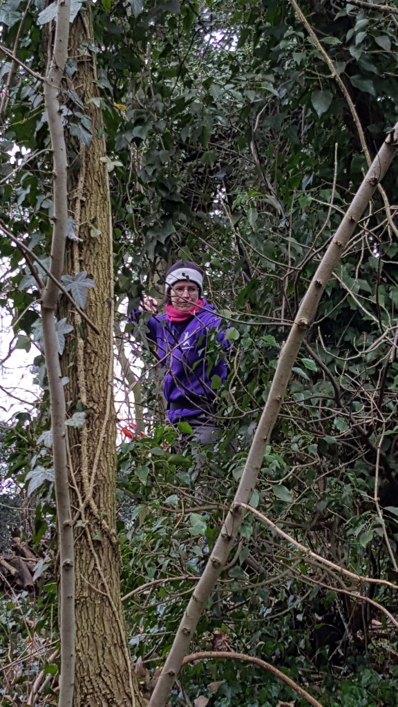 Sharon framed between the trees
