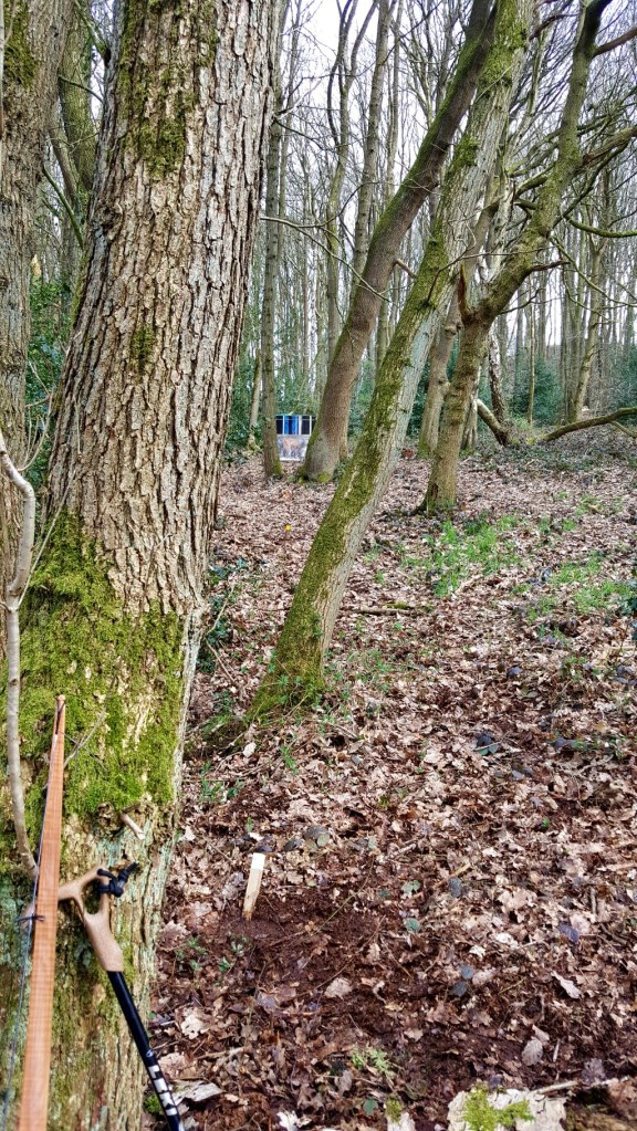 Tricky shot at paper face mountain lion between trees