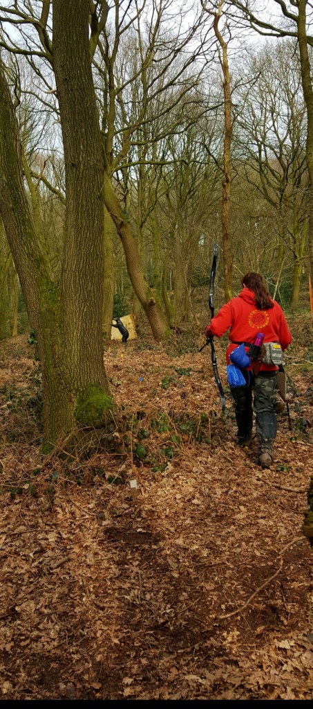 3D leaning bear seen from red peg