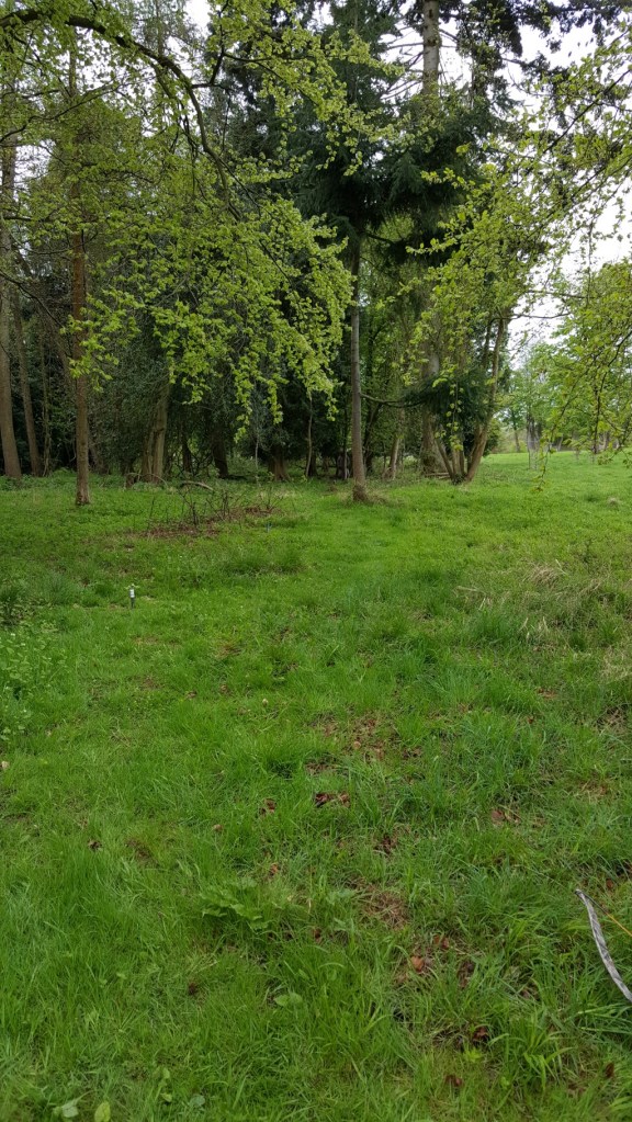 first target of the day a standing 3D bear