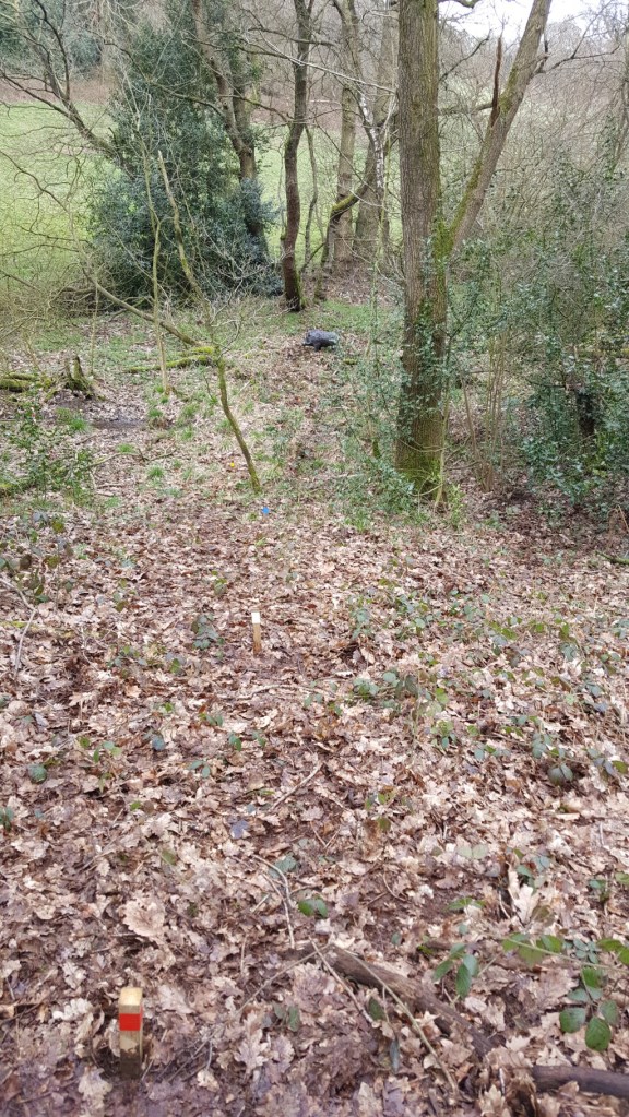 Downhill 3D boar shot at wolverine